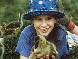 Amy und die Wildgänse Amy und die Wildgänse