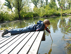 Bub_auf_Steg Bub liegt auf einem Steg und fischt mit einem Stock.