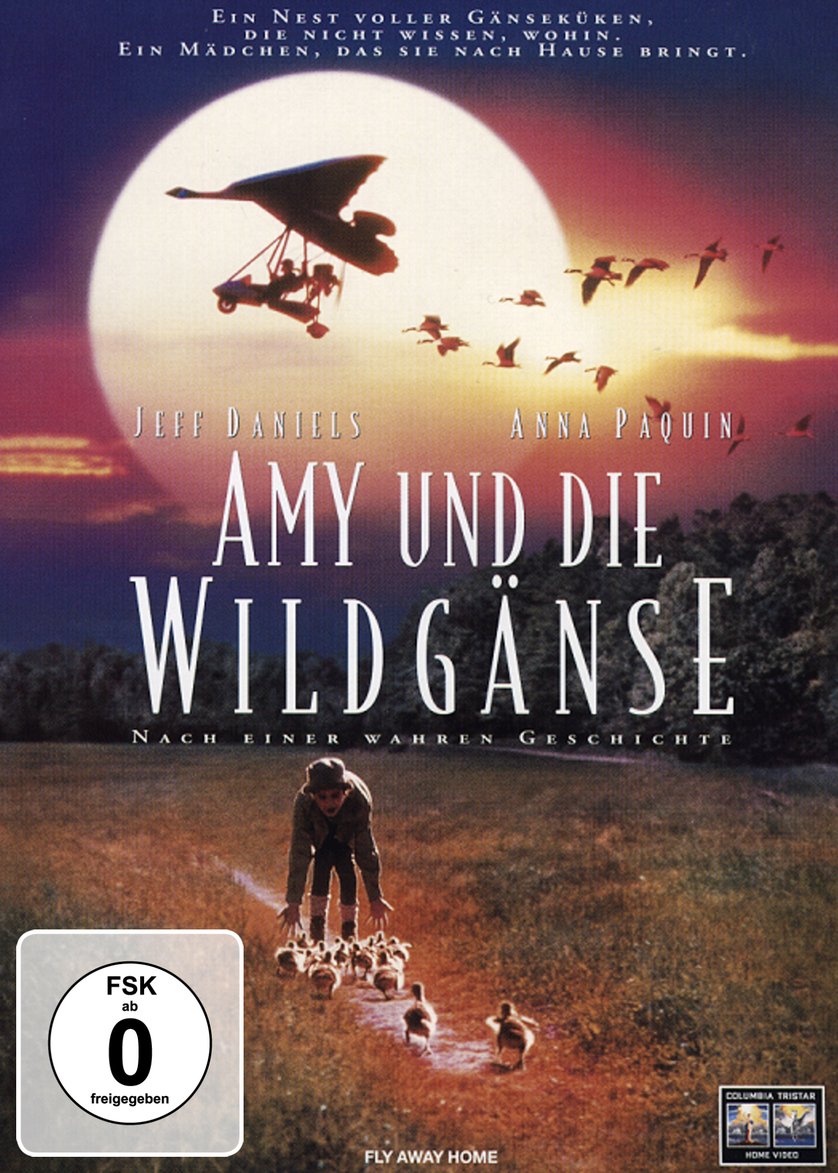 amy und die wildgГ¤nse amy und die wildgГ¤nse