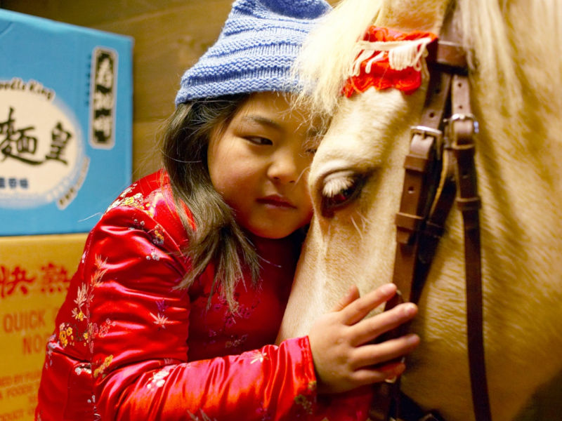 Winky will ein Pferd Filmbild von Winky will ein Pferd