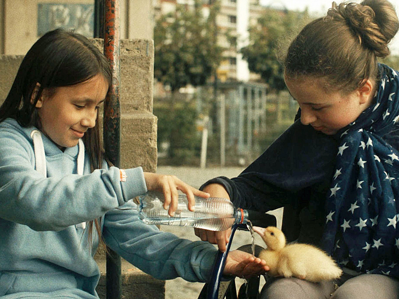 Zugvögel Filmbild von Zugvögel