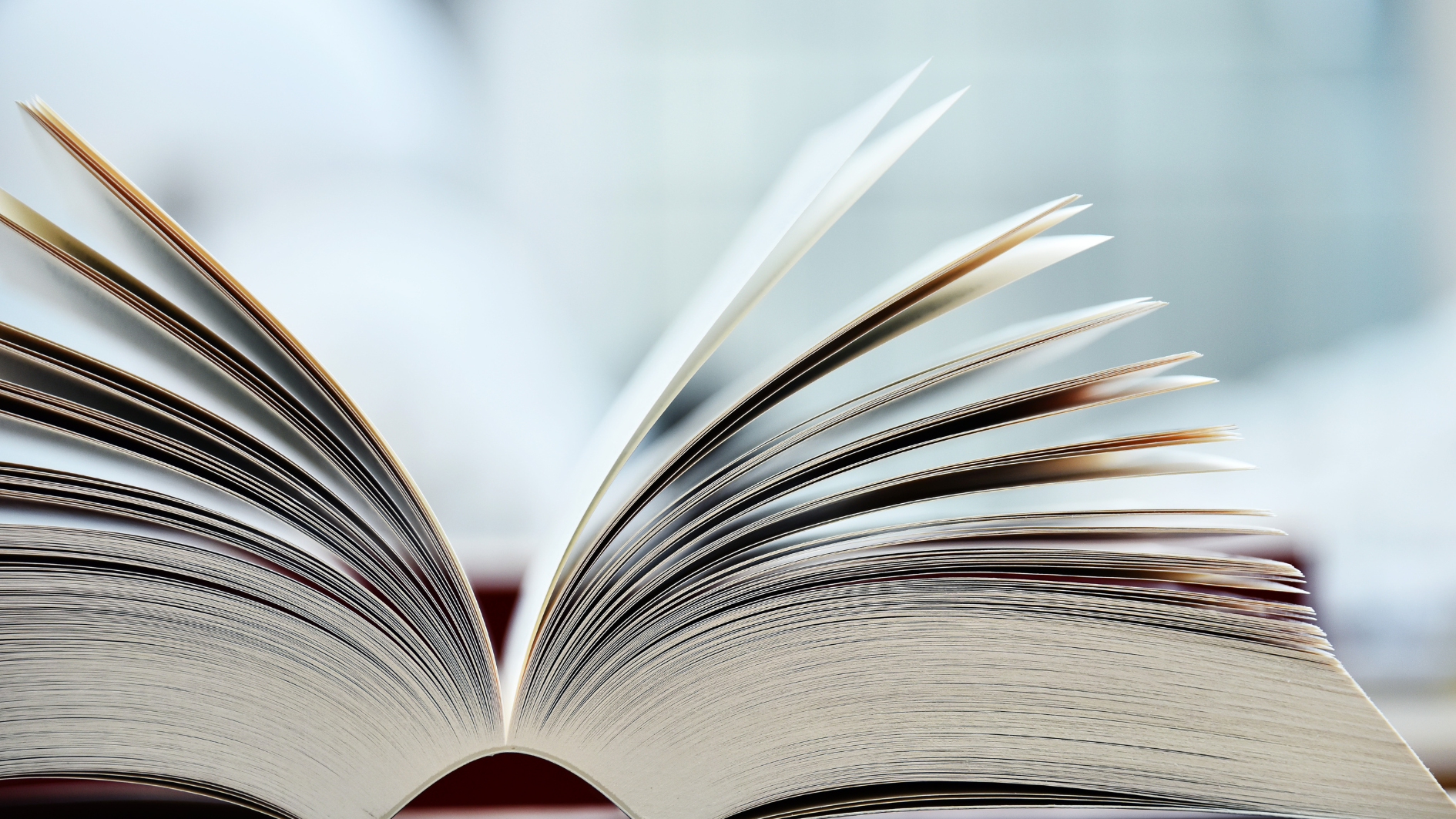 aufgeblättertes Wörterbuch