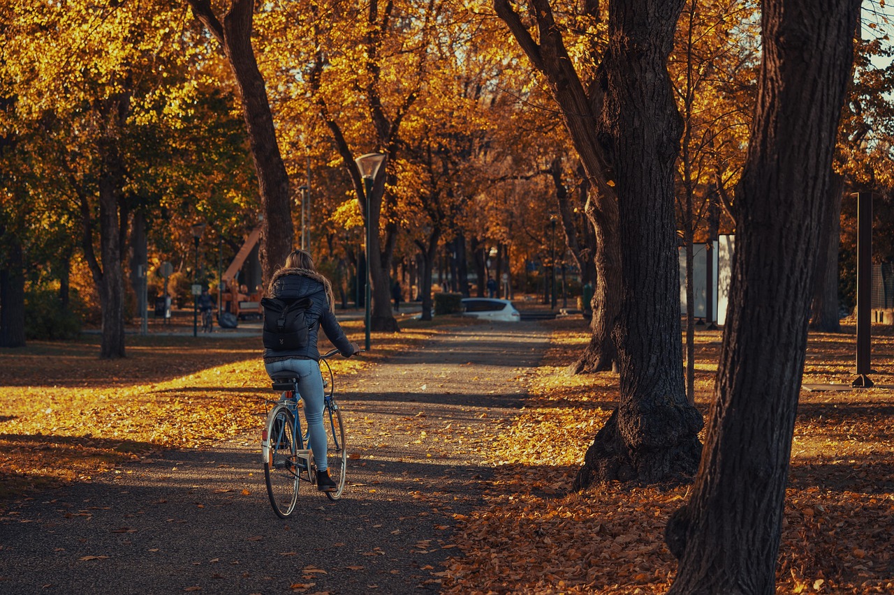 Eine Person fährt bei sonnigem Wetter mit dem Fahrrad durch einen Park, dessen Bäume goldenes und gelbes Herbstlaub tragen.