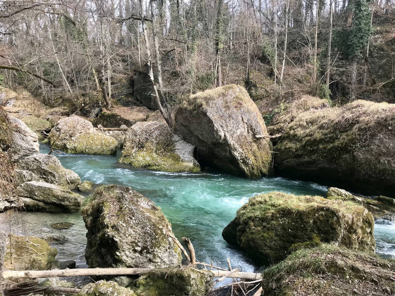 Erlaufschlucht Fluss und Wanderweg