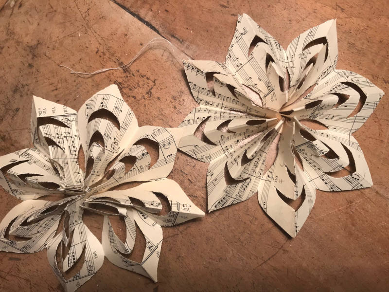 Papiersterne Papiersterne