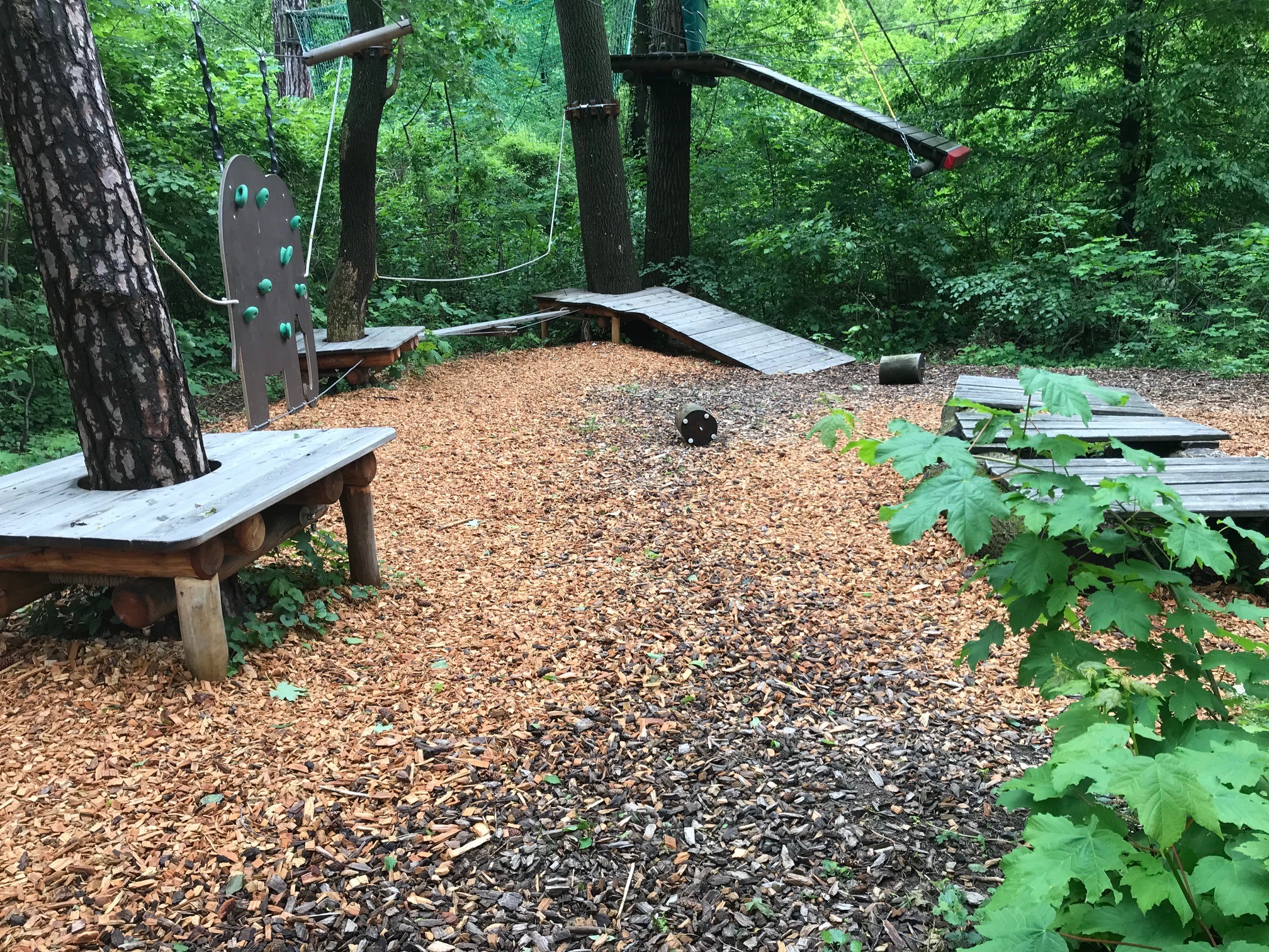 Parkour Kleine Boulderwand zwischen zwei Bäumen.