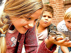 Hilfe, unser Lehrer ist ein Frosch