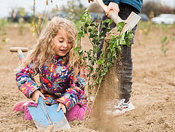 Ein Mädchen pflanzt einen Jungbaum.