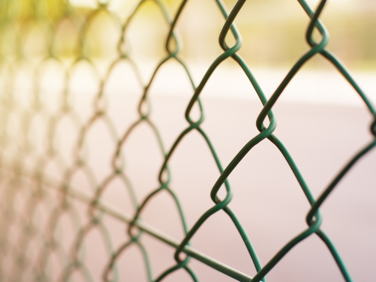 Maschendrahtzaun vor einem grün gelben Hintergrund
