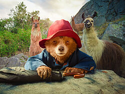 Paddington in Peru