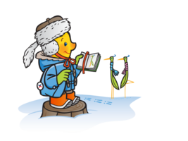 Holli mit Muetze im Winter