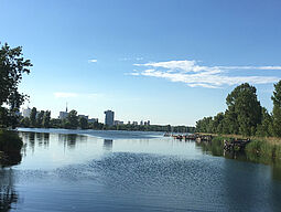 Badestege Alte Donau