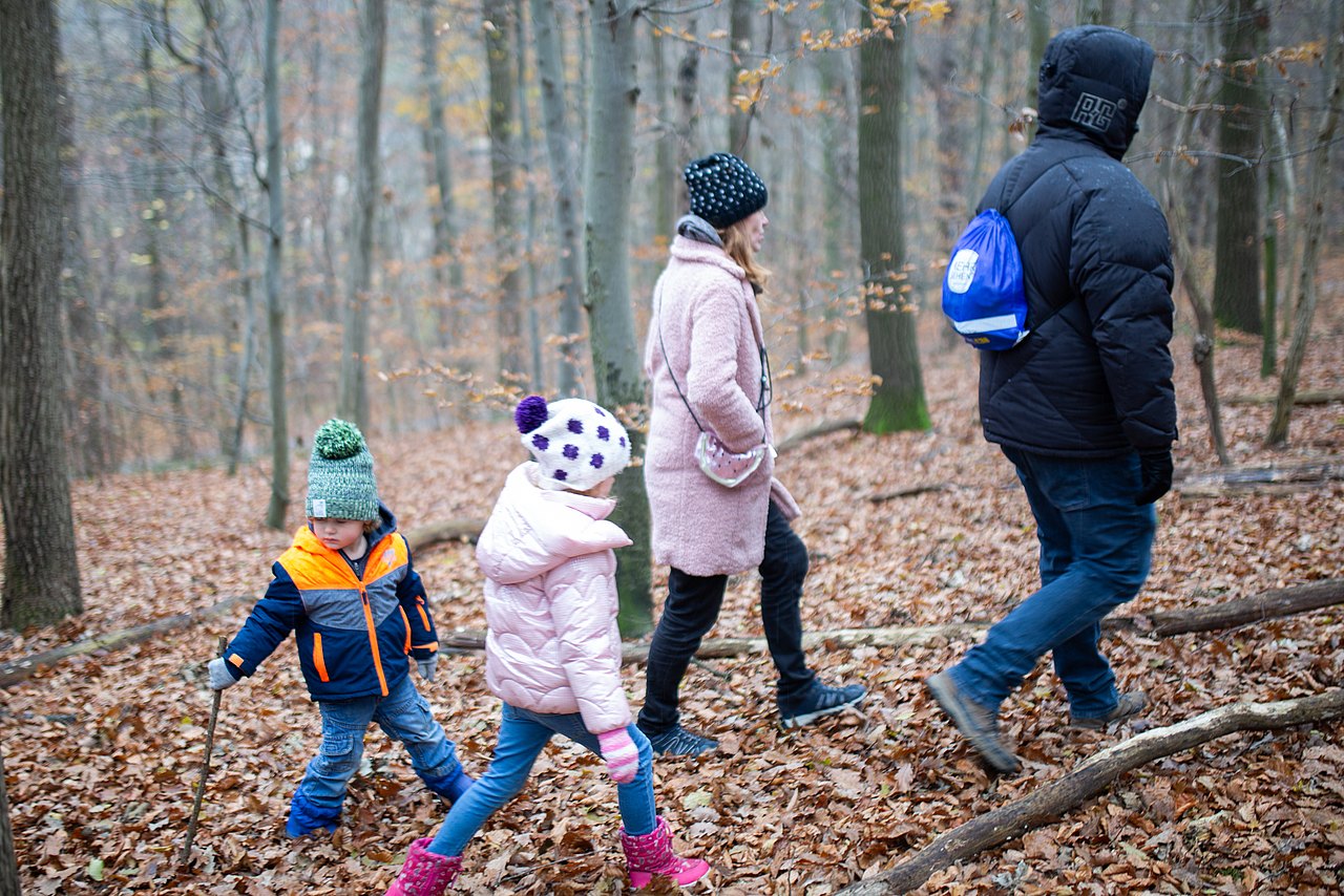 Naturforschen als Erlebnis im Herbst