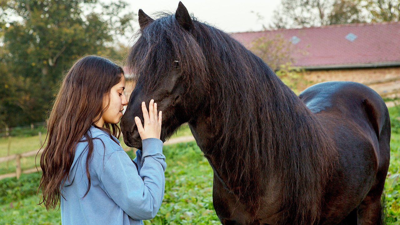 Hördur - Zwischen den Welten Filmbild von Hördur - Zwischen den Welten