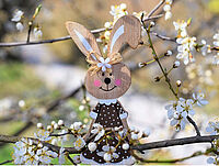 Osterhase