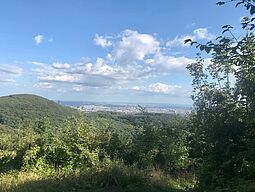 Blick von der Habsburgwarte Ausblicke