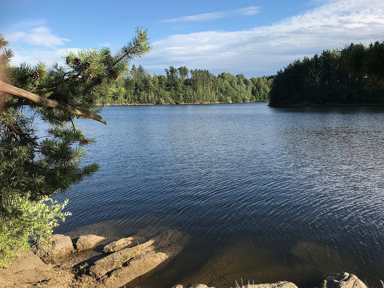 Ottensteiner Stausee Ottensteiner Stausee mit einem großen Stein und Wäldern ring um