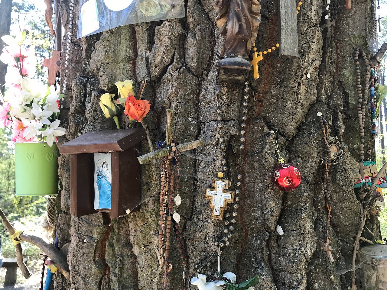 Bildeiche im Maurer Wald Baumstamm mit Kreuzen, Rosenkränzen und Heiligenbild sowie Christbaumkugel