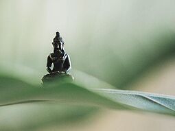Buddha in Blättern