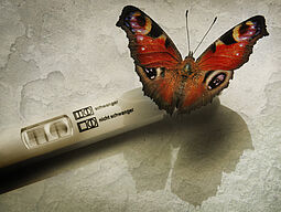 Schmetterling sitzt auf einem Schwangerschaftstest