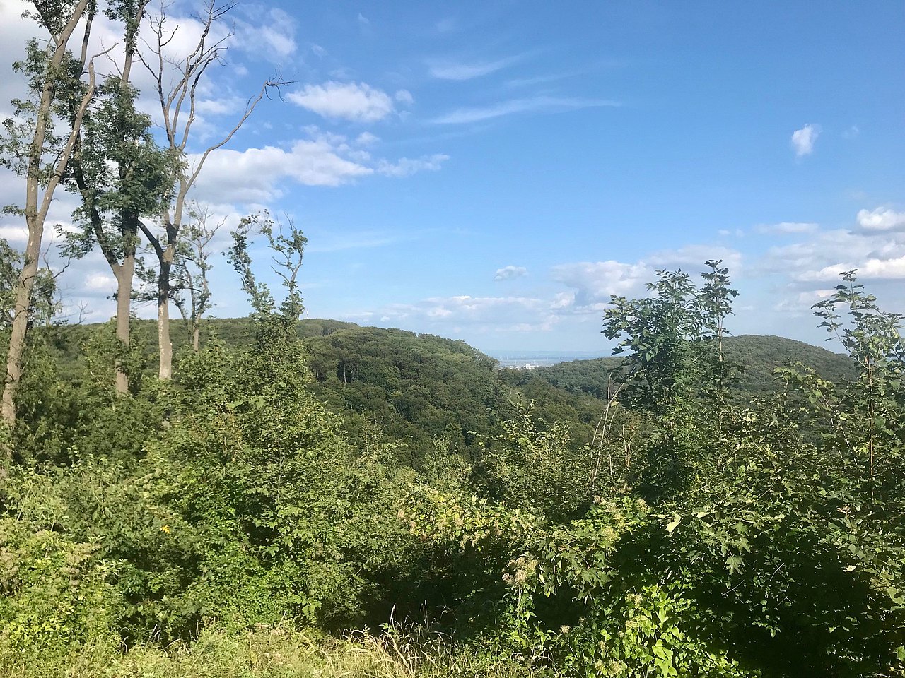 Ausblick auf Wien Ausblick auf Wien