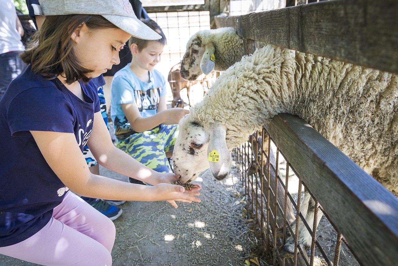 Wien Xtra, Bauernhof