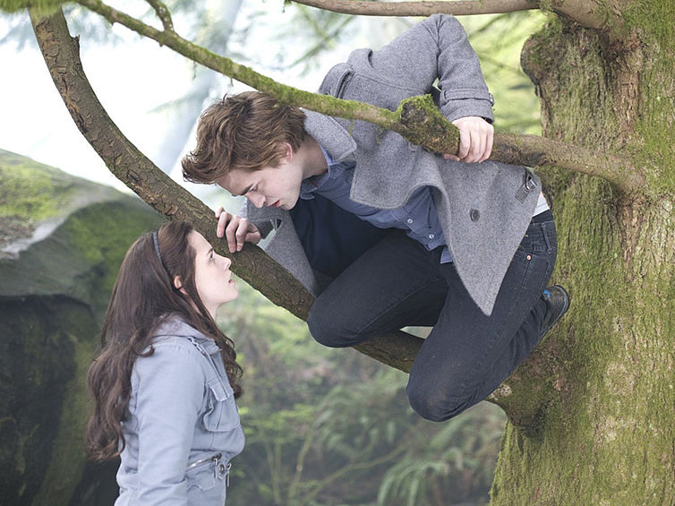 Twilight – Bis(s) zum Morgengrauen Twilight – Bis(s) zum Morgengrauen