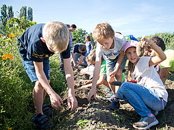 Kinder auf Kartoffelfeld
