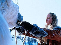 Der Eisbärkönig