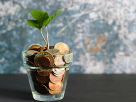 Eine Pflanze wächst aus einem Glas voll mit Euro-Cent-Münzen