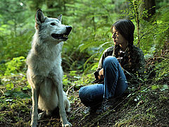 Shana - The Wolf's Music