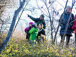 Walderlebnis Familienausflug in den Wald