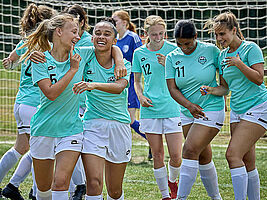 Lioness - Die Löwin