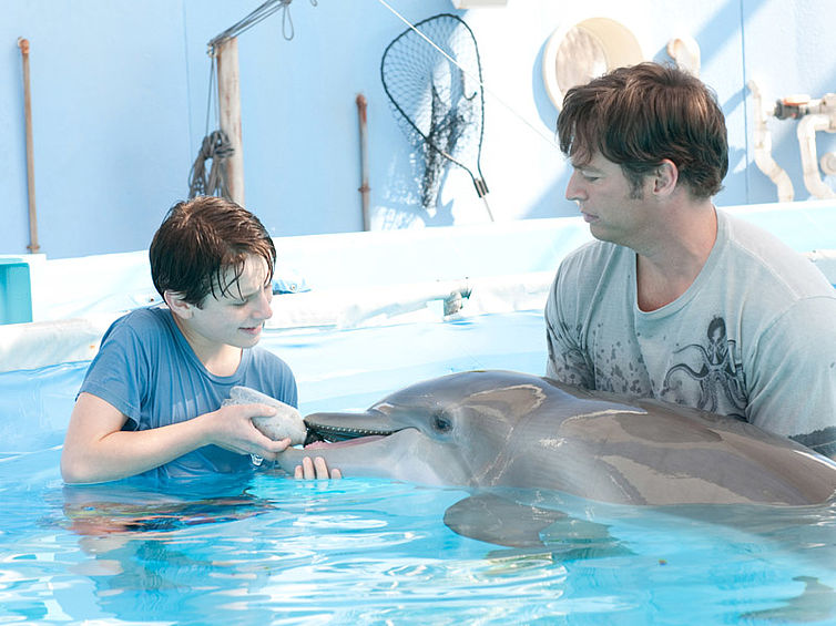 Mein Freund, der Delfin