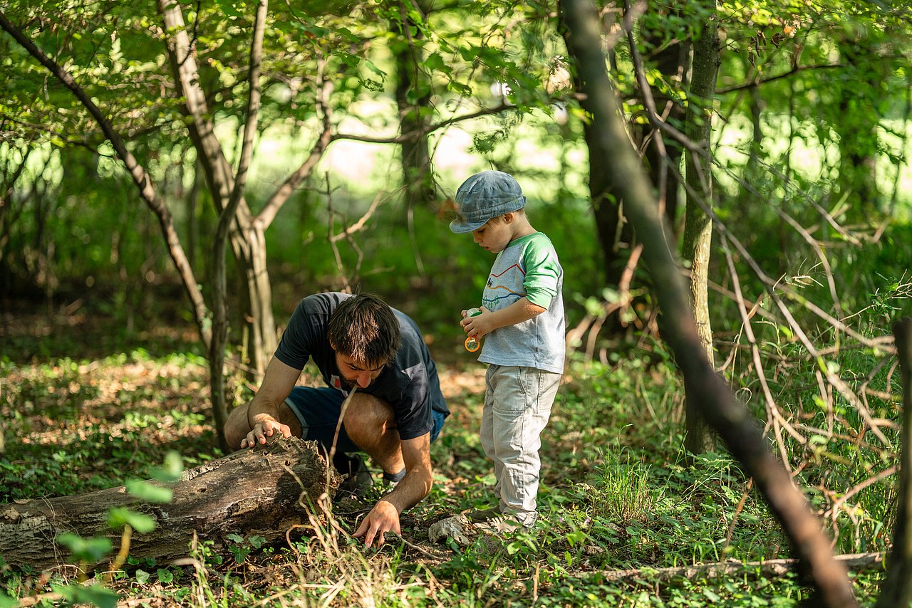 WIENXTRA_c_Kajetan_Koren_19092025_039