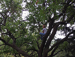 Kind im Baum sitzend