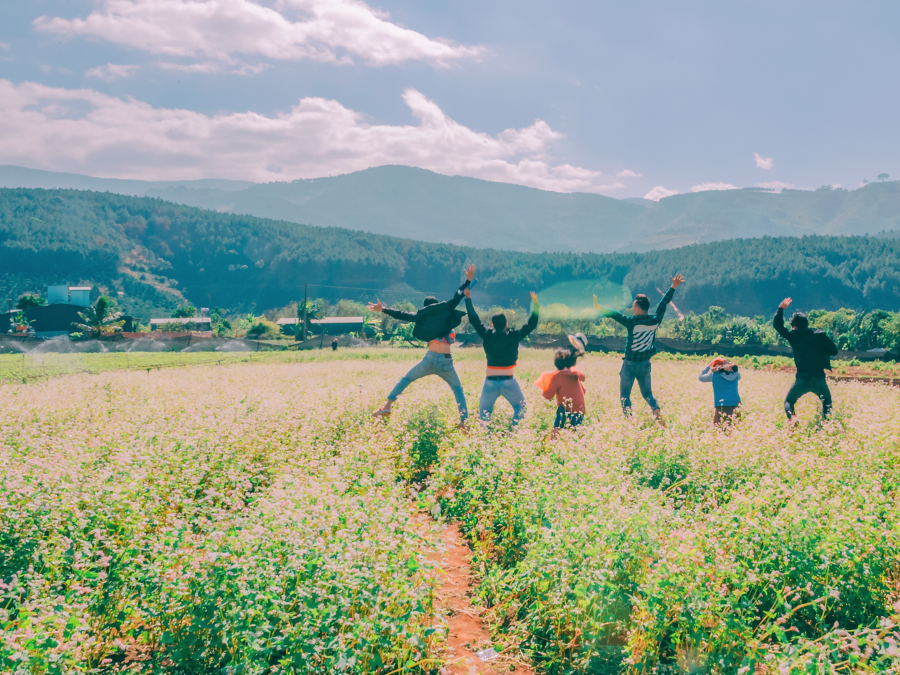 Eine Gruppe steht auf einem Feld