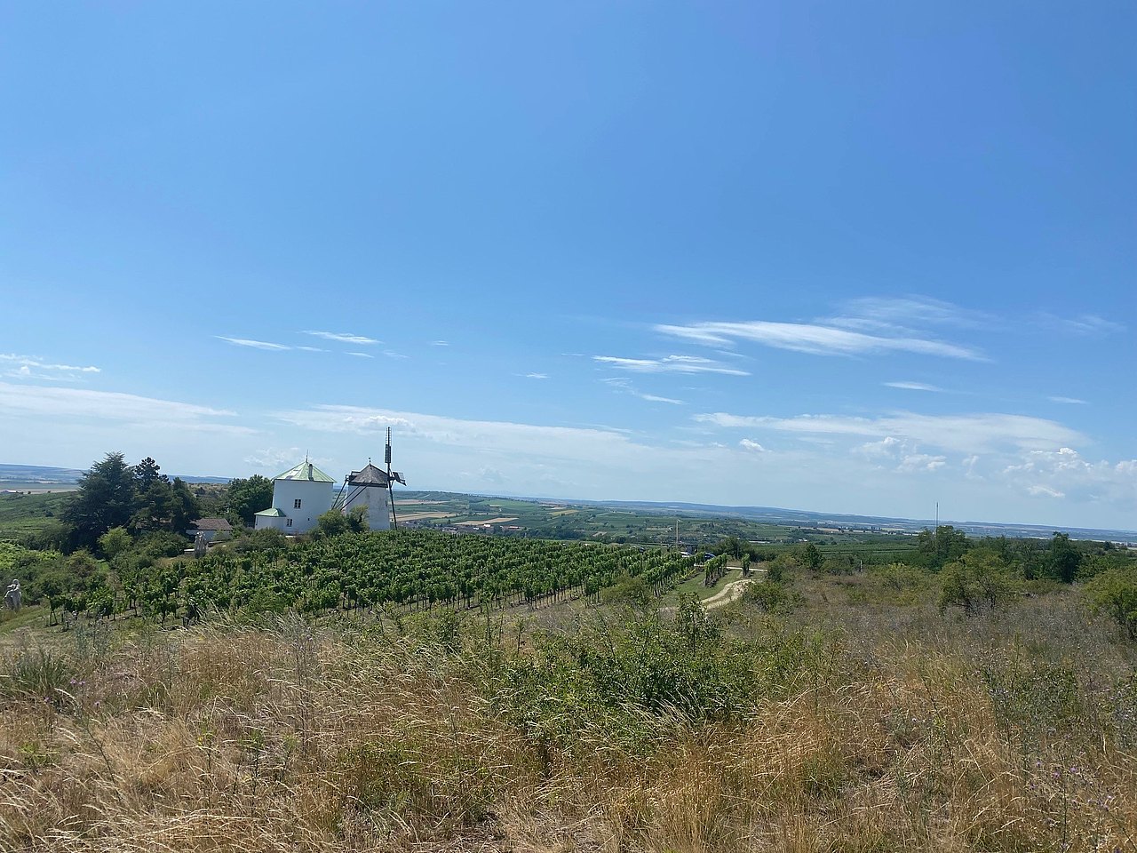 Retz Ausblick mit blauem Himmel