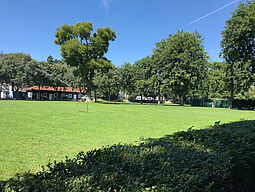 Wiesensportplatz Jugendsportanlage Wien