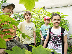 Vier Kinder beim Geocaching