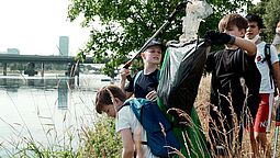 Schüler sammeln Müll auf der Donauinsel mit Greifzangen und Müllsack.