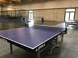 Tischtennistisch Sport und Fun Halle Wien