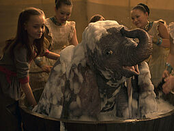 Dumbo Dumbo