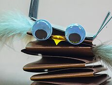 Eule mit Wackelaugen Eule mit Wackelaugen