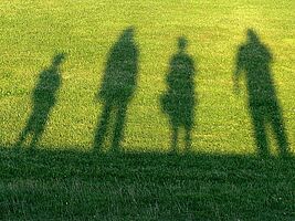 Schatten auf der Wiese