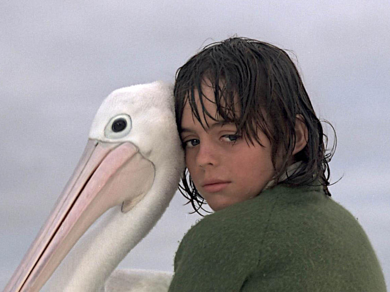 Stormboy Stormboy