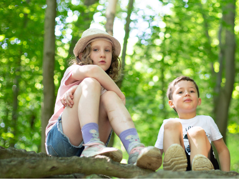 Kinder im Wald Zwei Kinder sitzen auf einem Baumstamm im Wald.