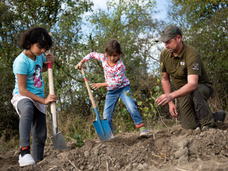 Kinder beim Bäume-Pflanzen