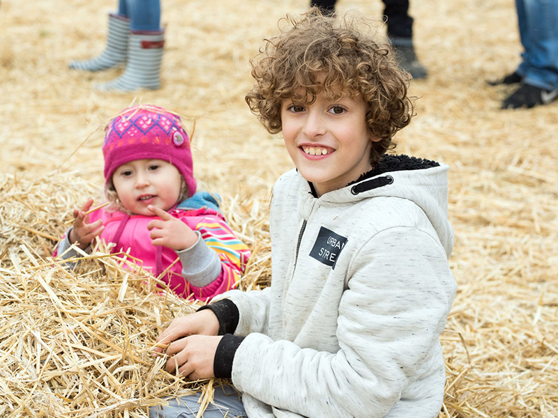 Wald Kinder spielen in der Strohpyramide beim großen Herbstfest